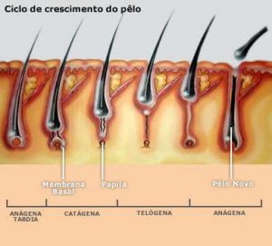 IMAGEM NO CORPO DO TEXTO